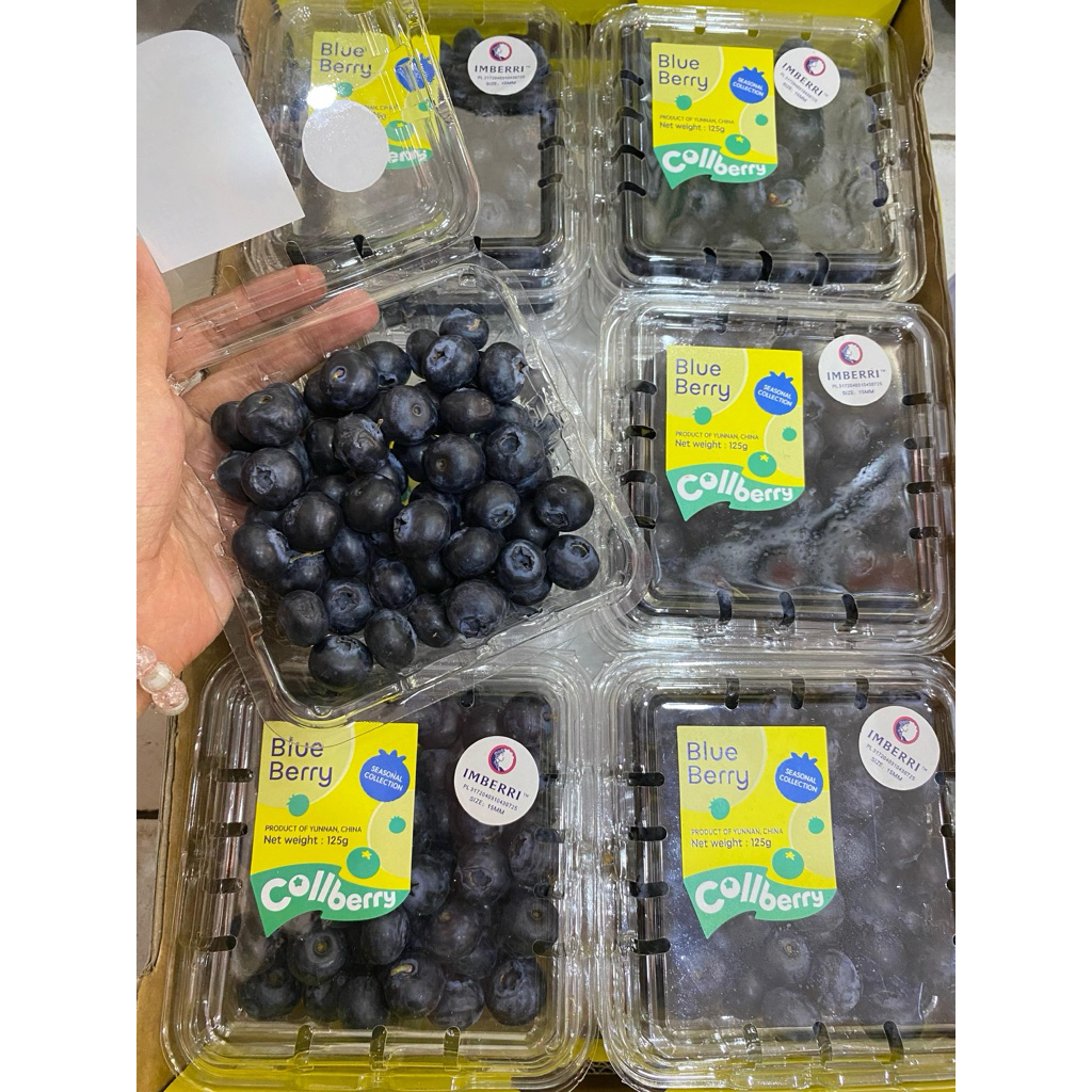 Blueberry Buah Blueberry Fresh