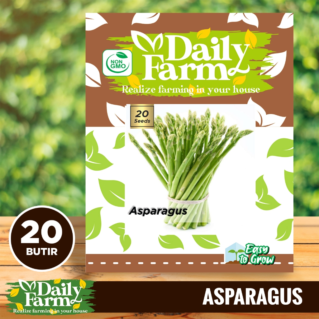 DF - Benih ASPARAGUS Marry Washington / Asparagus Seed