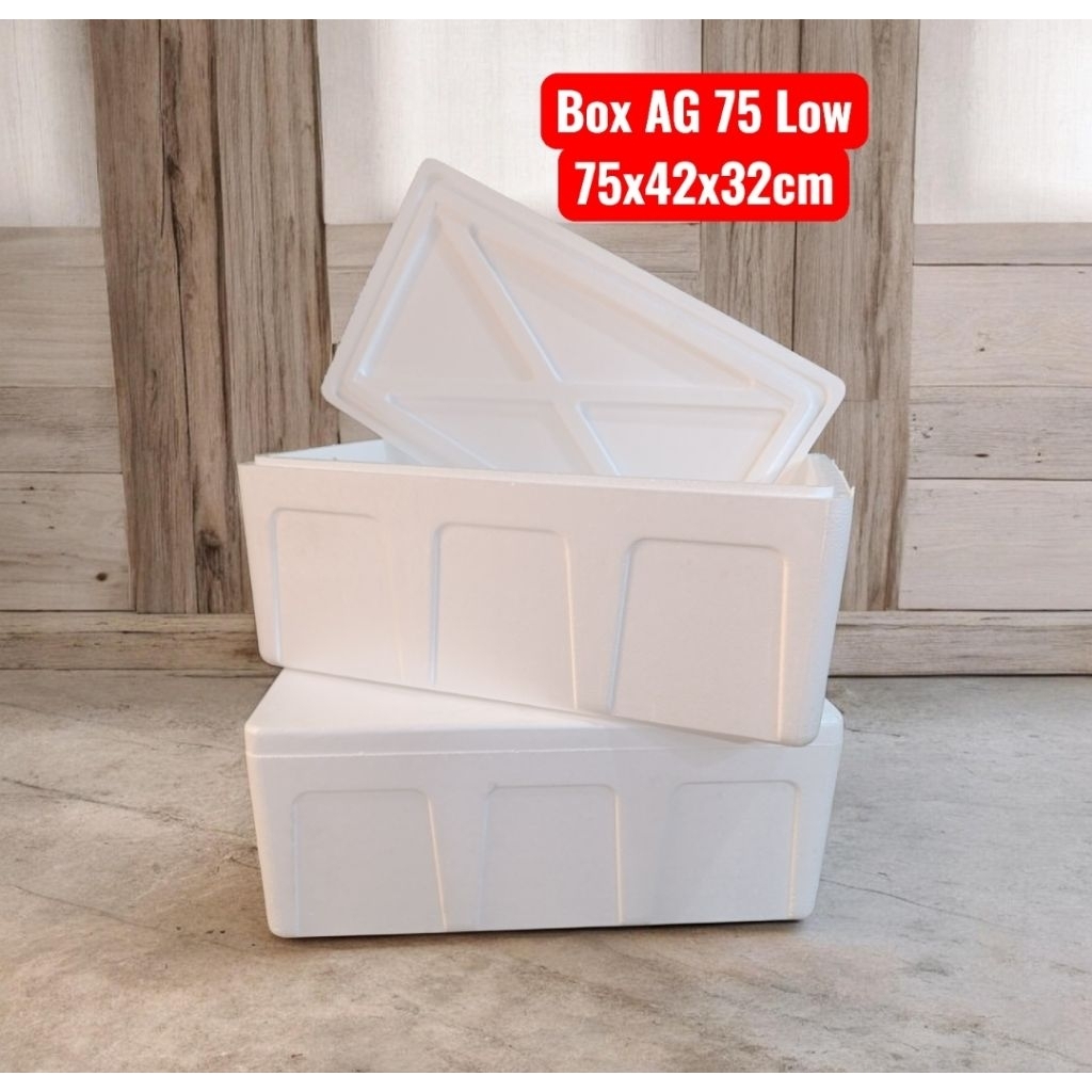BOX STYROFOAM AG 75 LOW/STYROFOAM BOX 75x42x32cm