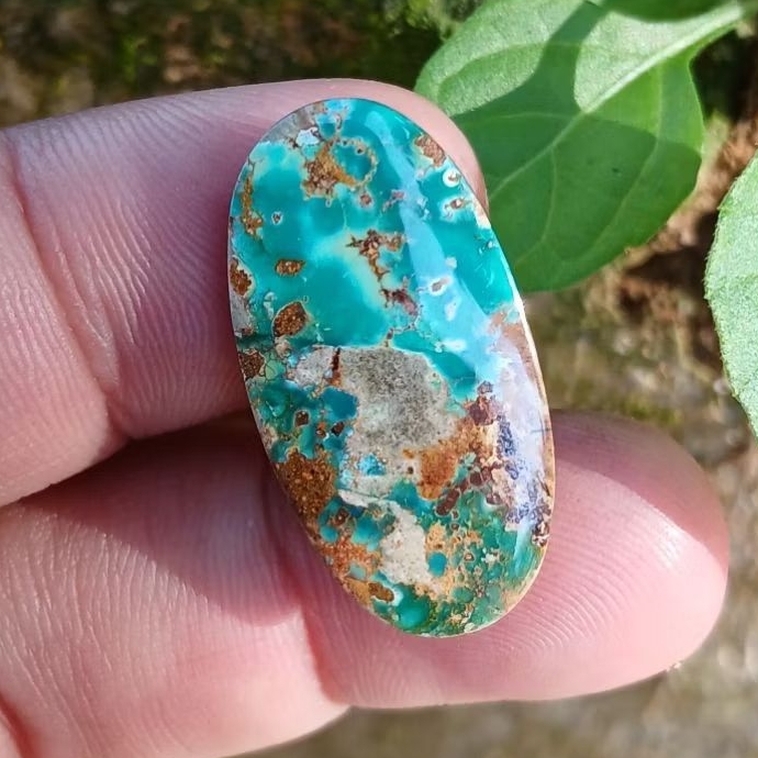 pirus persia ijo tosca