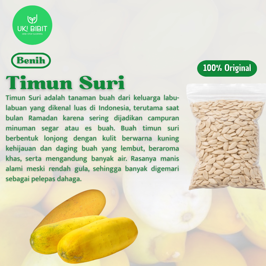 ( 100 Butir ) Benih Biji Timun Suri | Bonteng Suri | Timun Betik | Mentimun Suri