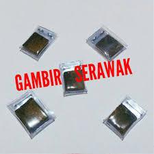 gambir serawak asli dan manjur