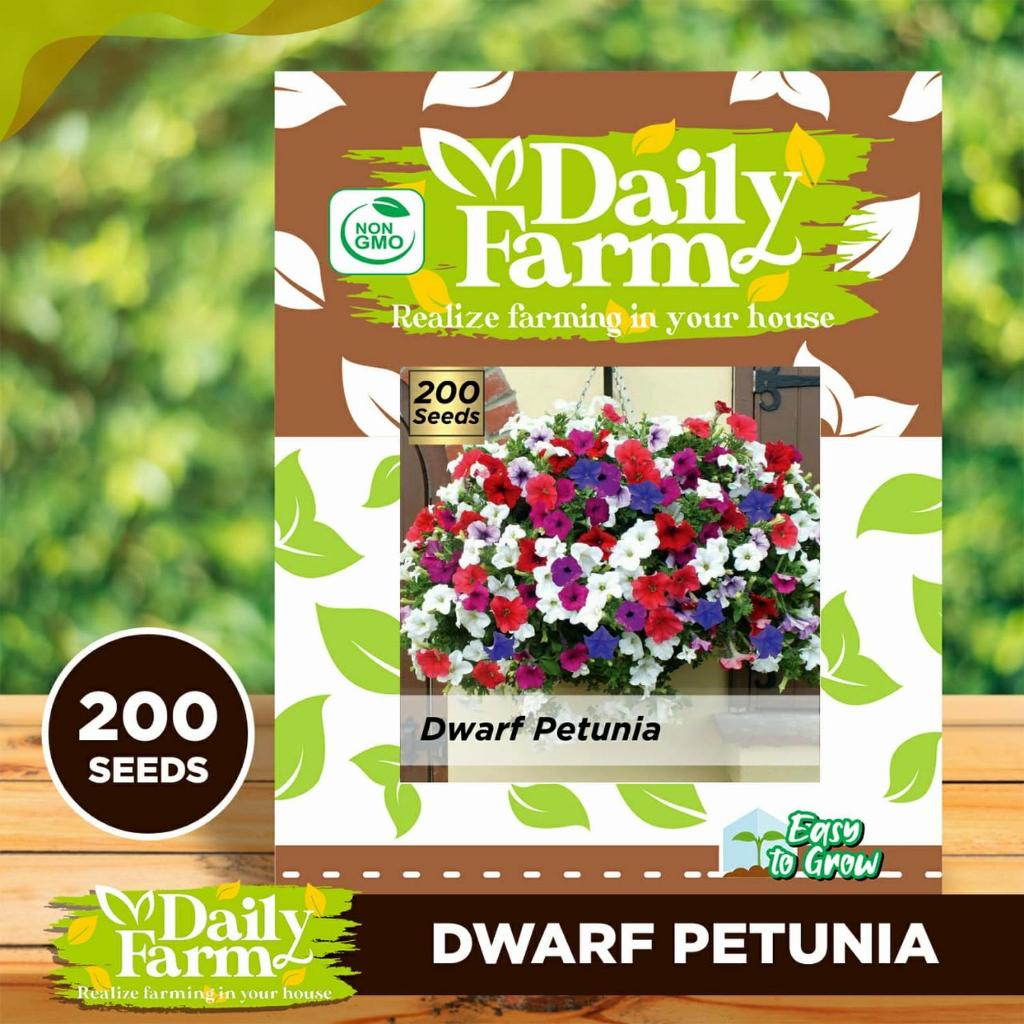 DF Benih Dwarf Petunia Mix color - Bibit Bunga Petunia