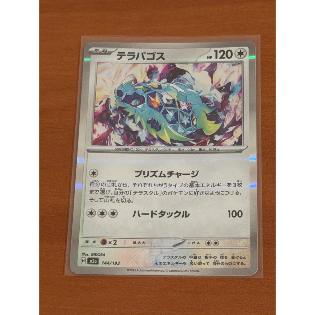 Pokemon Terapagos