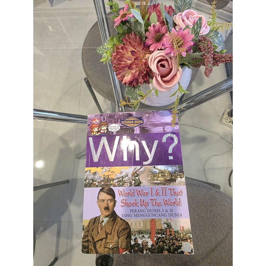 buku bergambar edukasi seri why world war 1 & 2