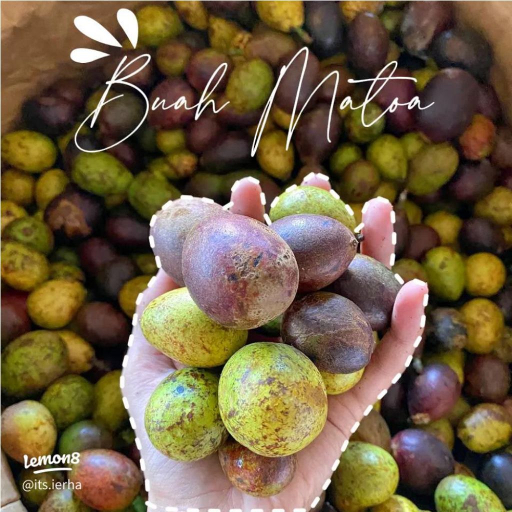 BUAH MATOA 1KG MANIS BANGETT