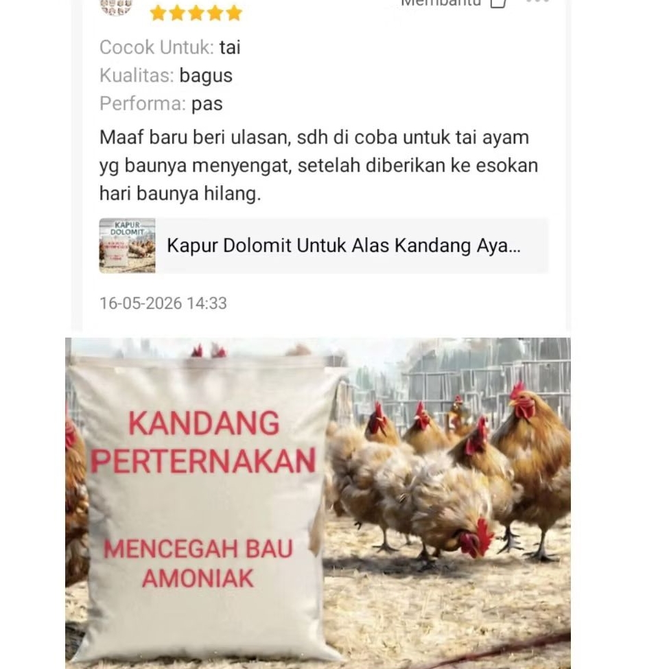 Kapur Dolomit Untuk Alas Kandang eceran 500 gr  ayam bebek merpati