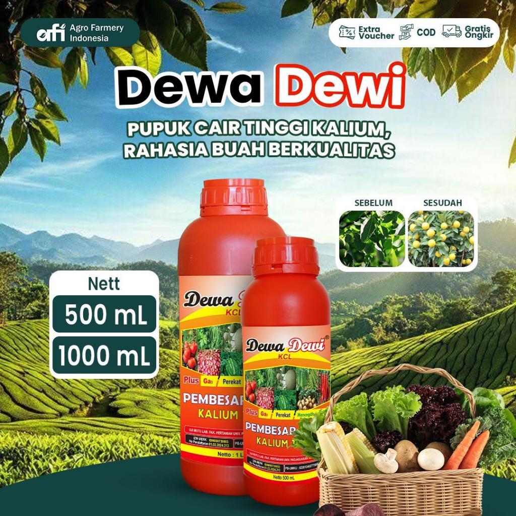 DEWA DEWI - Pupuk Kalium Cair Pembesar Umbi Buah K2O 35% 1 Liter 500ml - 100% Ori