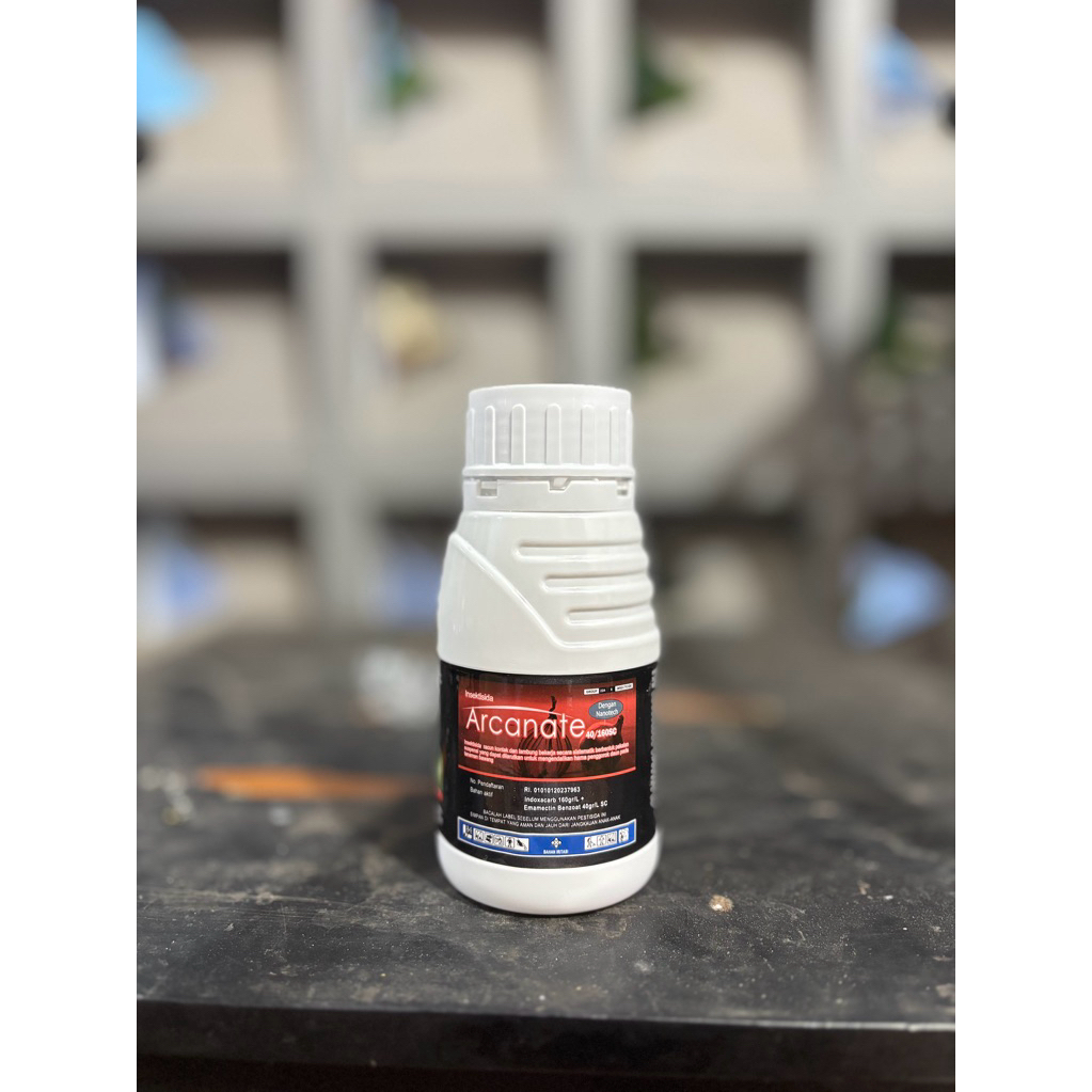 ARCANATE (original) insektisida racun ulat grayak pada bawang merah