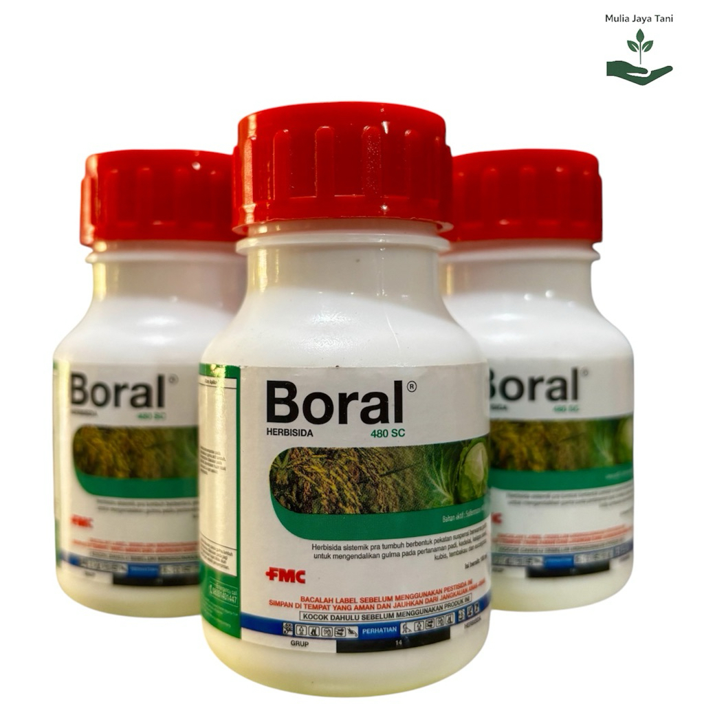 BORAL 480SC 100ml - Herbisida Sistemik Selektif Boral 480sc