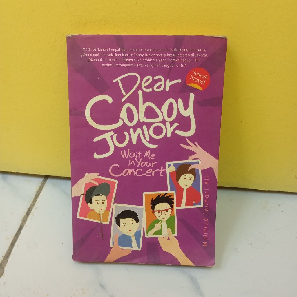 Novel Dear Coboy Junior