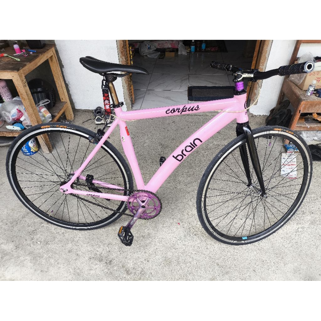 Frame only brain corpus alloy