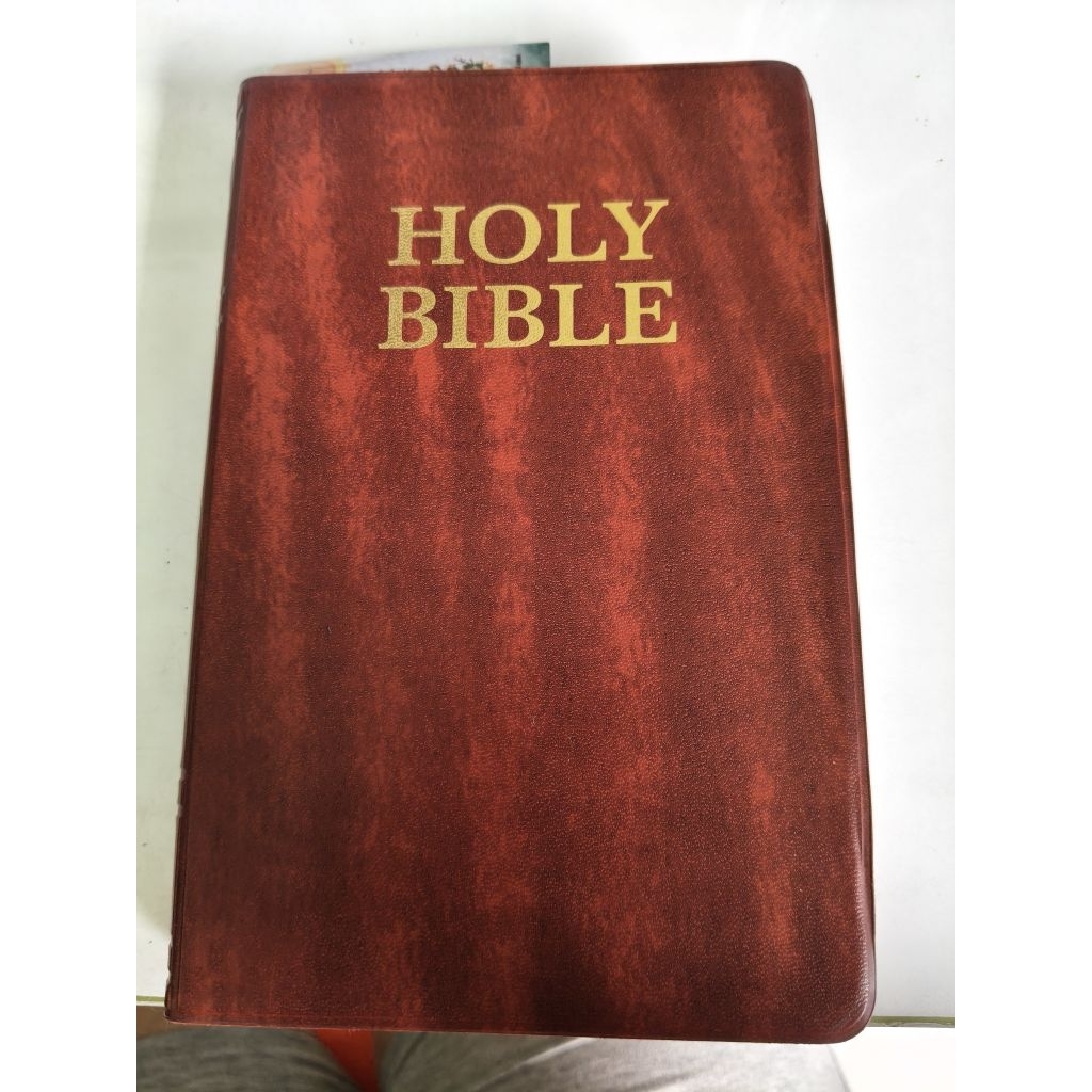 Holy Bible KJV King James Version Plastic Cover English