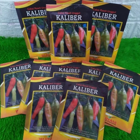 Benih cabe KALIBER 10gram, benih cabai rawit unggul kaliber wijitani,cabe setan