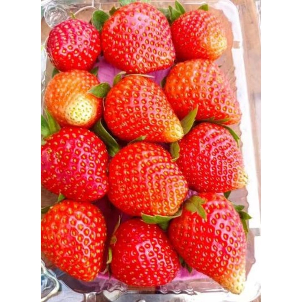 1KG Strawberry Lokal Bandung - Premium Frozen Fruits, Tanpa Pengawet