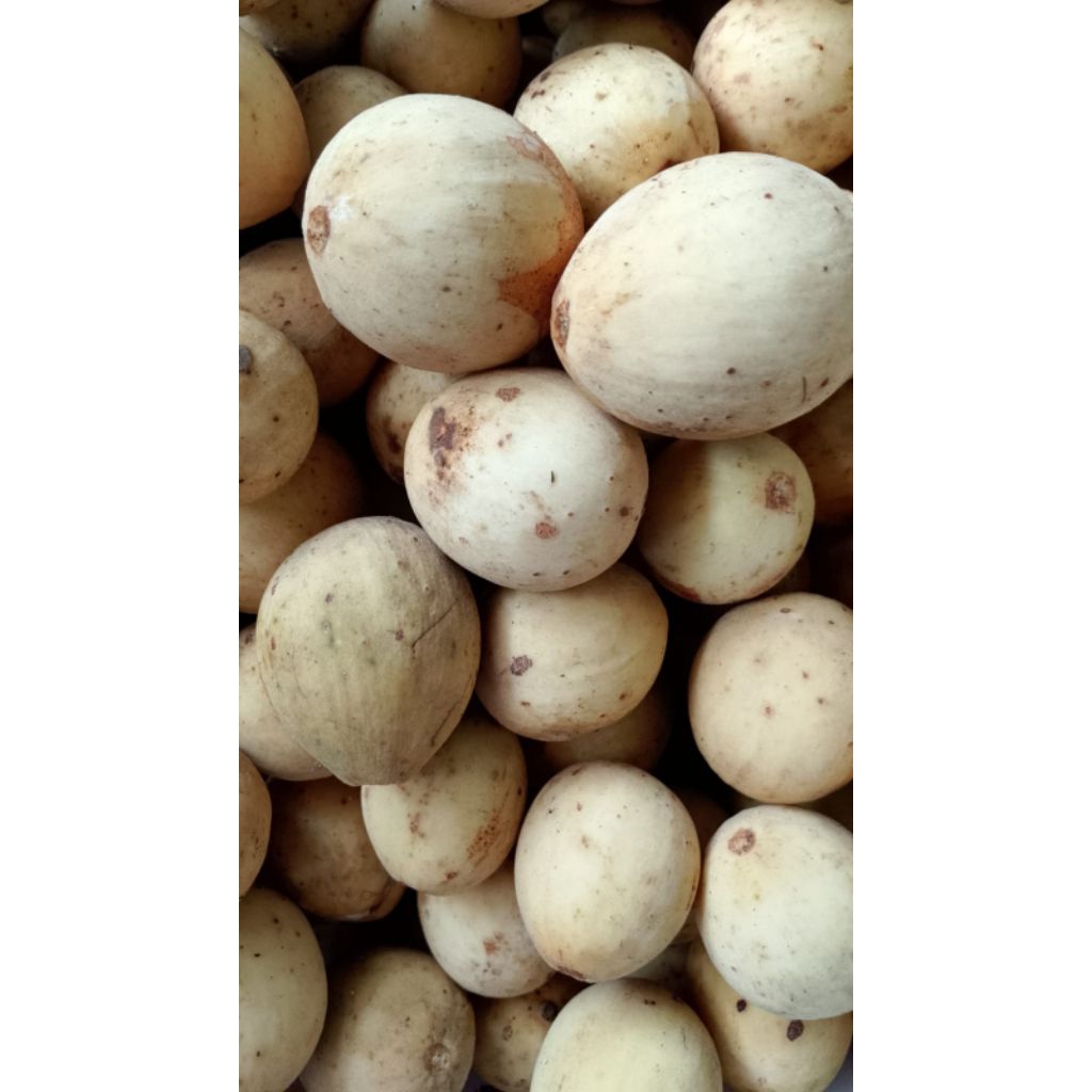 Buah Duku Manis 1kg