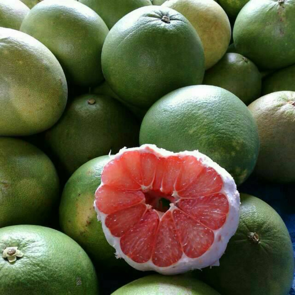 buah jeruk pamelo