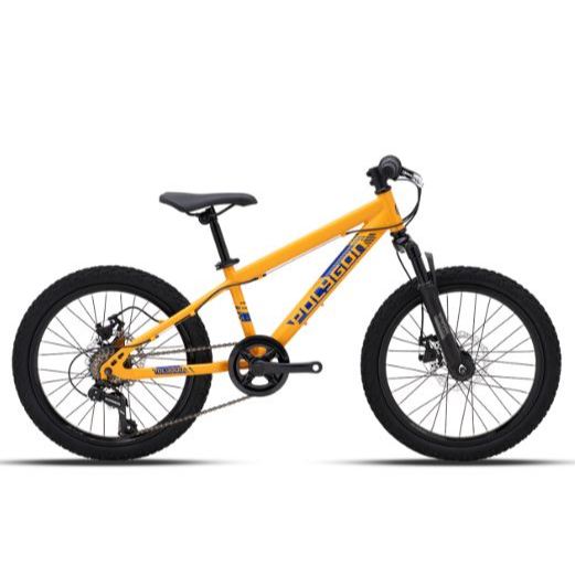 Polygon Sepeda Anak Maze M20 - Sepeda Anak