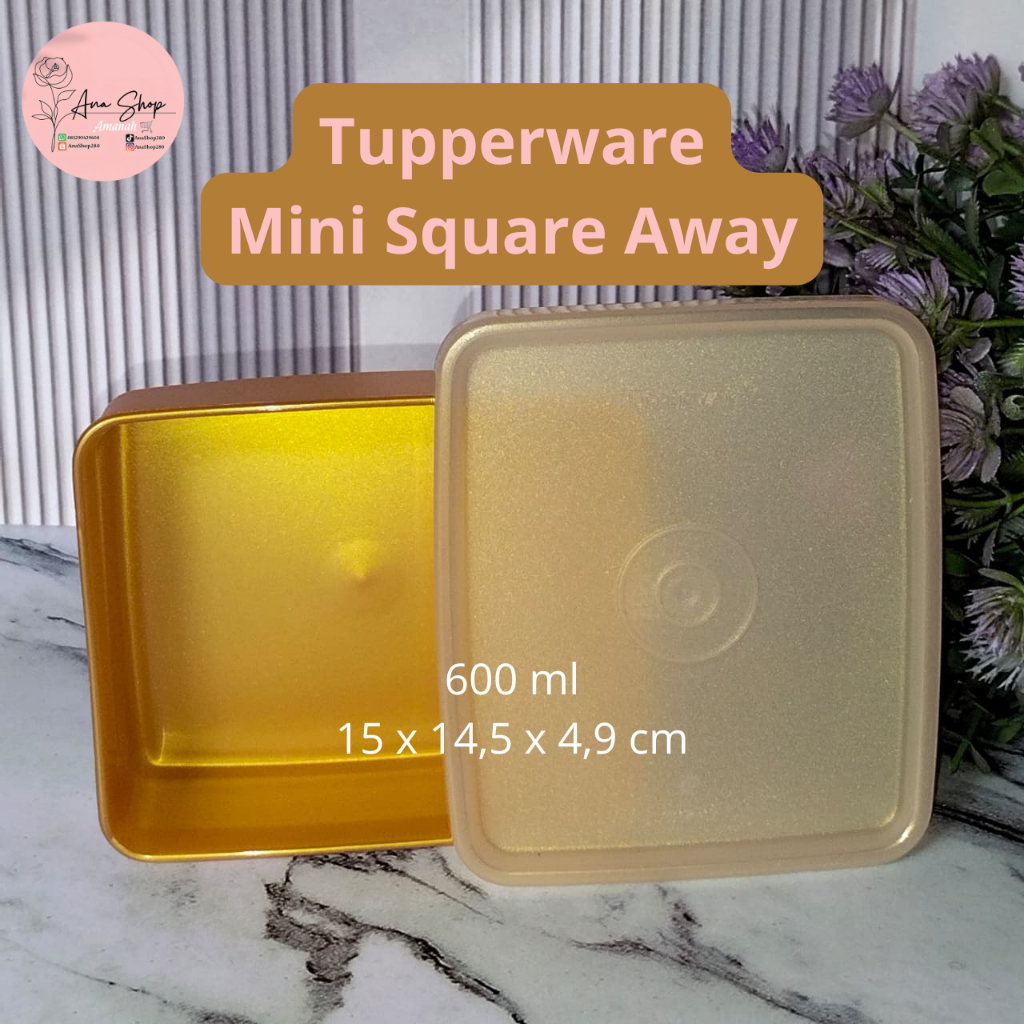Tupperware Mini Square Away (1)