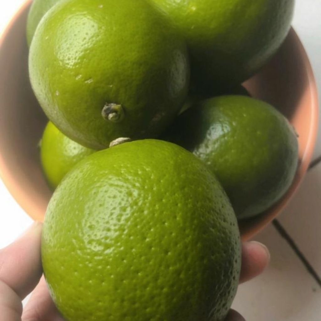 KEBUN RAYA- Jeruk Lemon Fresh