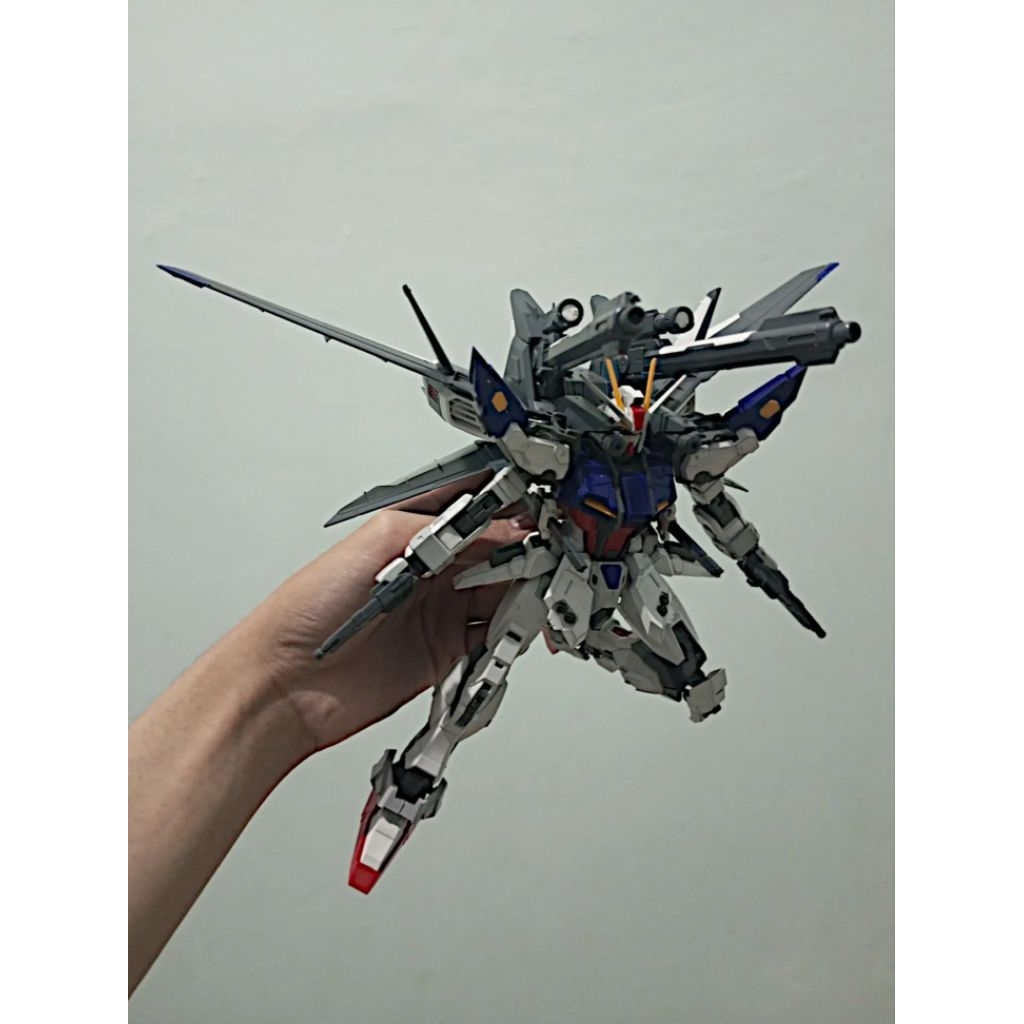 Gundam MG Lucas Strike IWSP Custom not hg rg