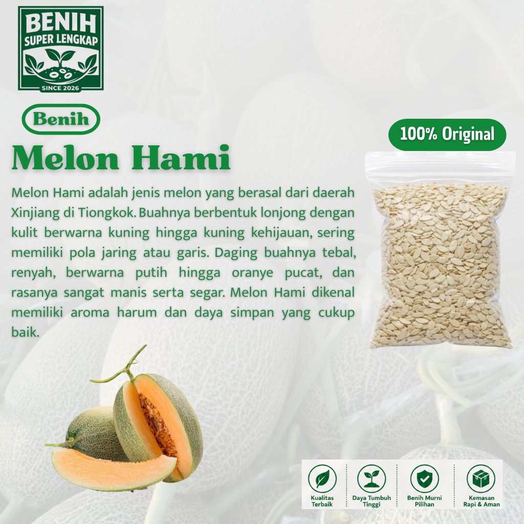 ( 1 Butir ) Benih Biji Melon Hami | Hami Gua | Melon Hami Xinjiang