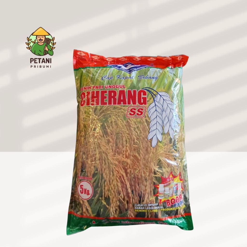 BENIH PADI UNGGUL CIHERANG BISI 5 KG CAP KAPAL TERBANG