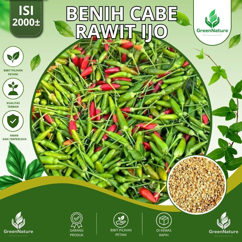 2000± BIJI BENIH CABAI RAWIT HIJAU