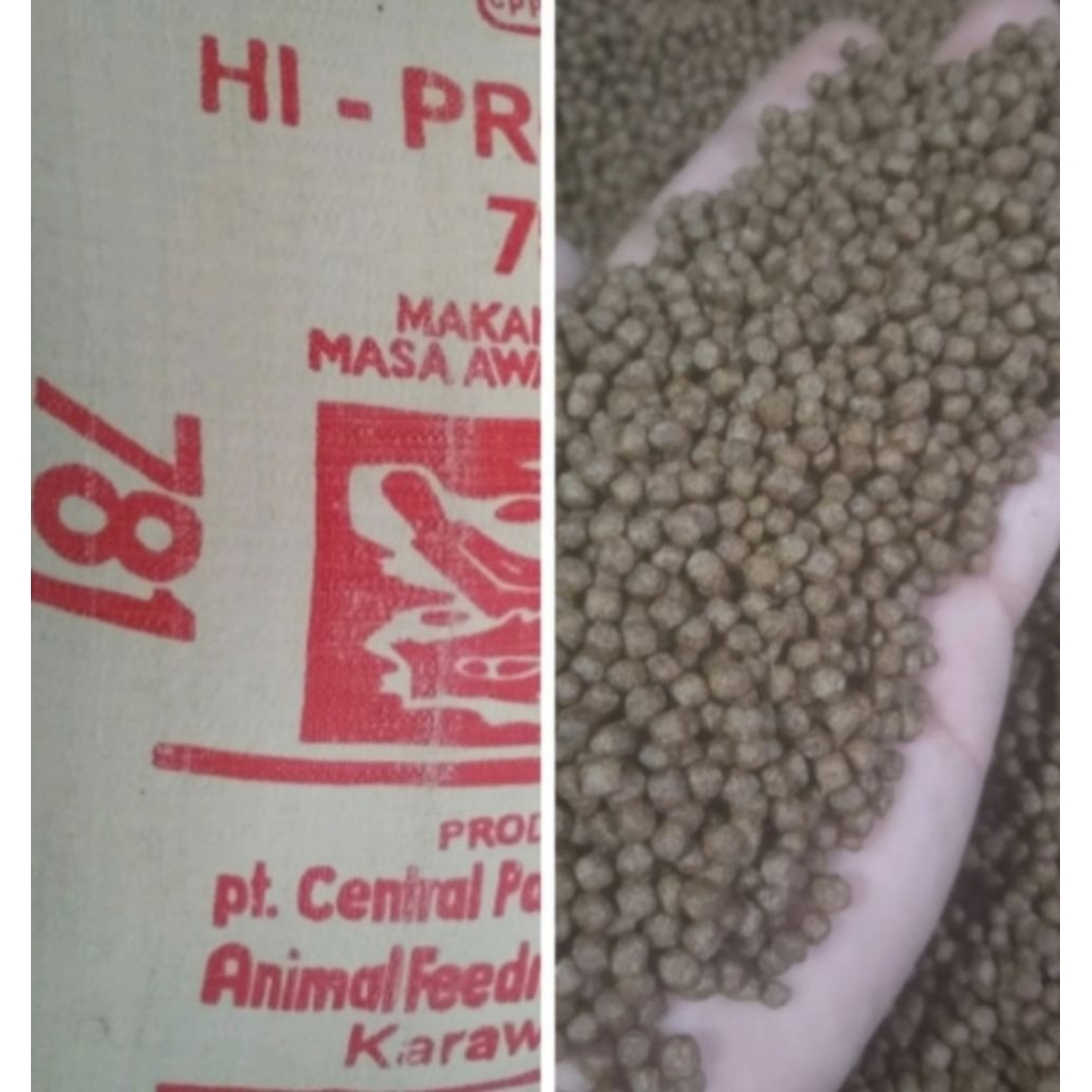 Pelet 781 polos repack 1 kg