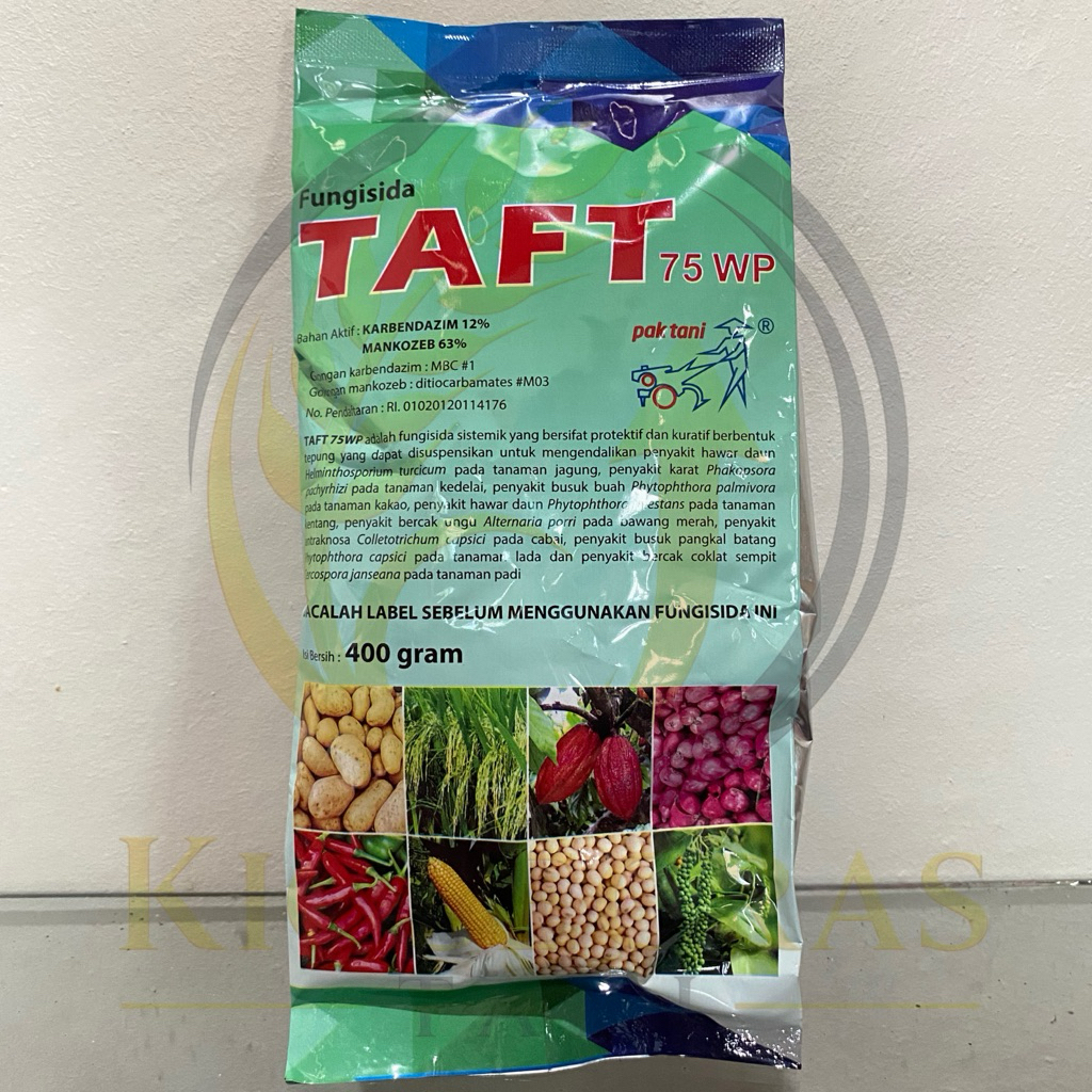 Taft 75WP 400gram