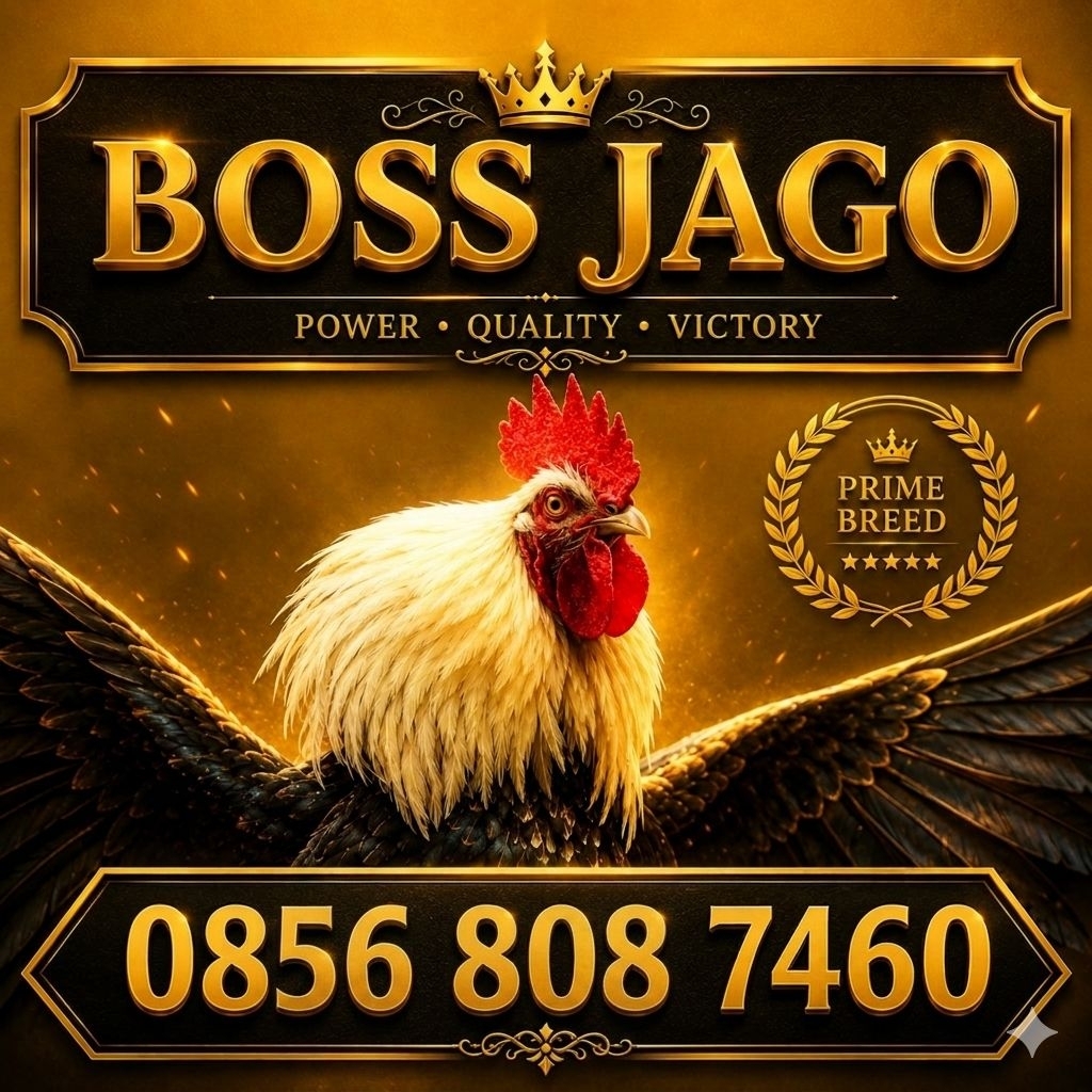 Nomor Sultan  | Nomor Cantik 11 Digit JAGO 808 805 7460