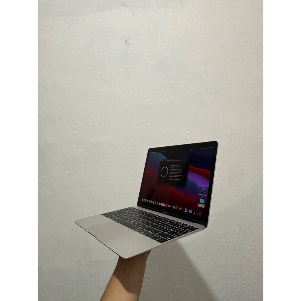 Macbook Retina 12Inch