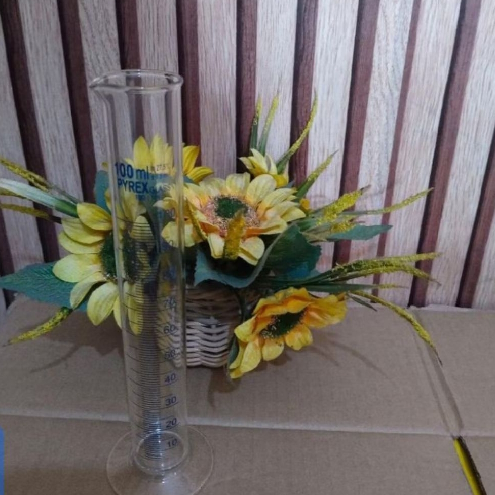 GELAS UKUR 100ML PYREX