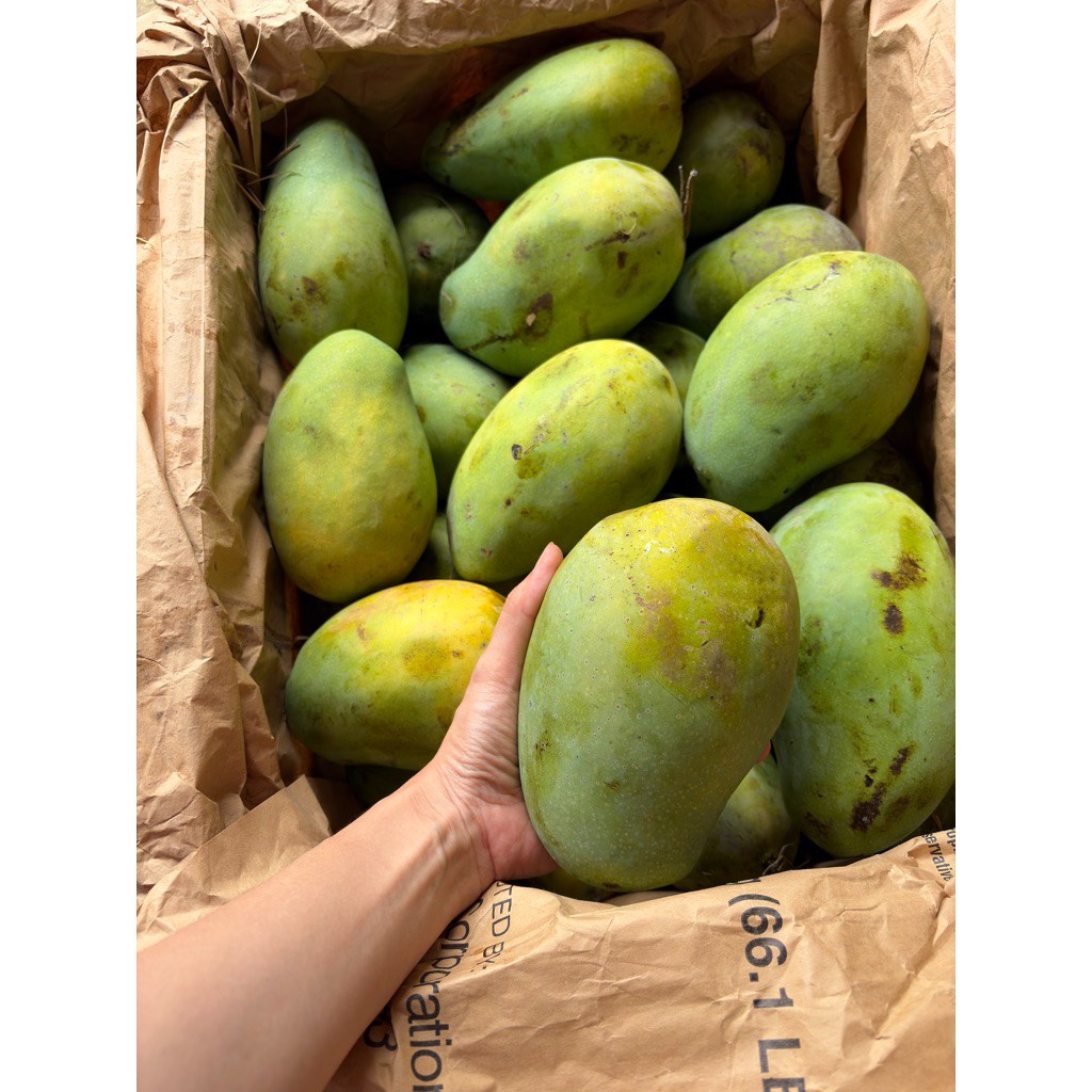 Mangga Harum Manis Premium Best Quality