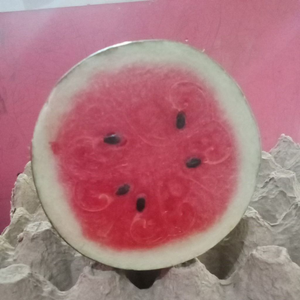 Buah Semangka Inul Merah Segar Manis, 1 Buah