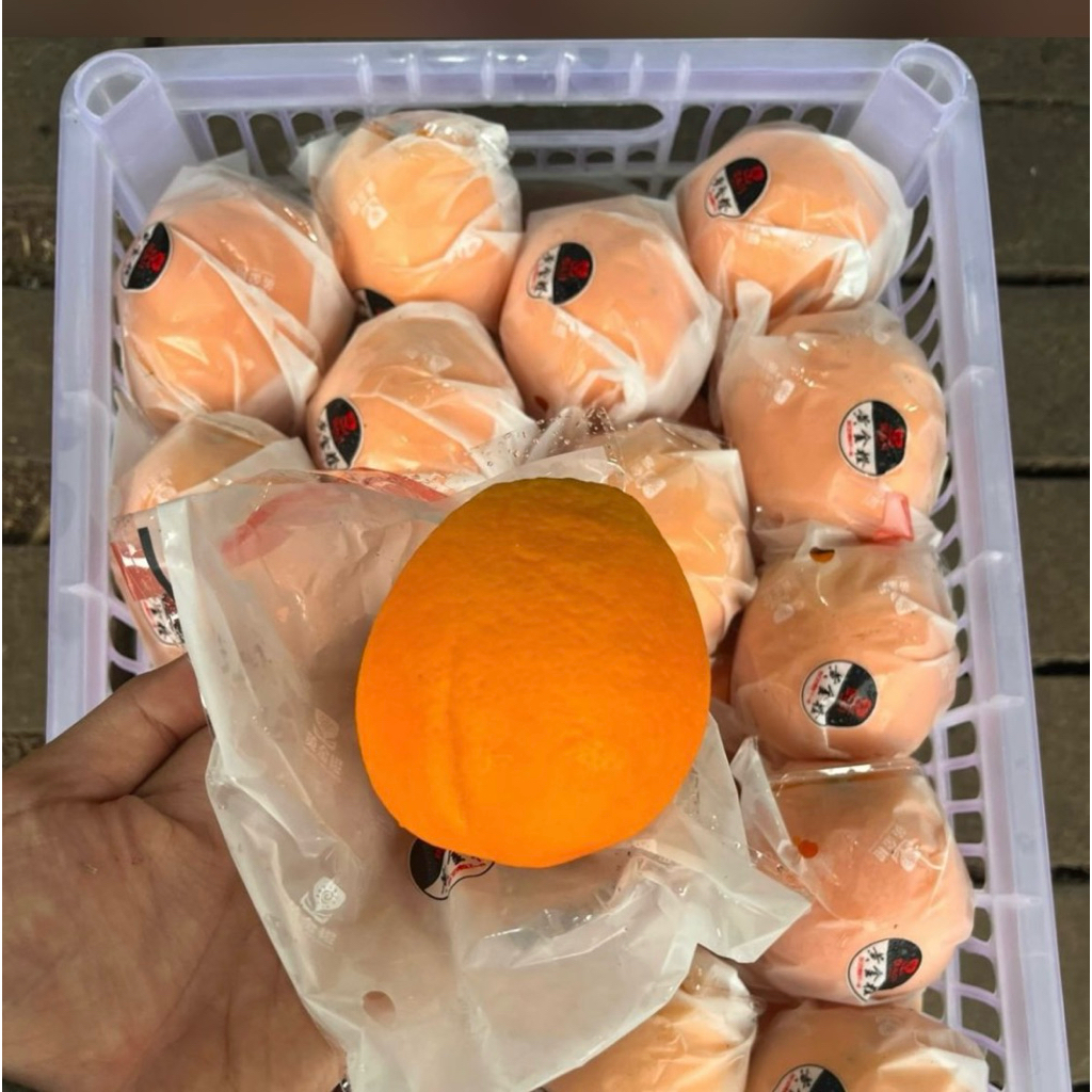 Jeruk Sunkist Navel / Jeruk Peras/ Manis