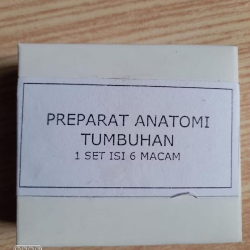 ALAT PERAGA MODEL PREPARAT ANATOMI TUMBUHAN