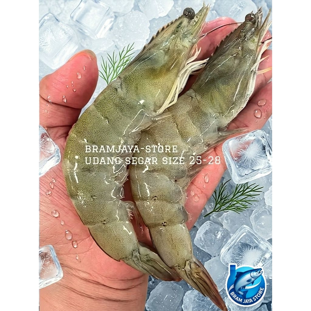 Udang Fresh Super Besar size25-28 Bisa Dikupaskan