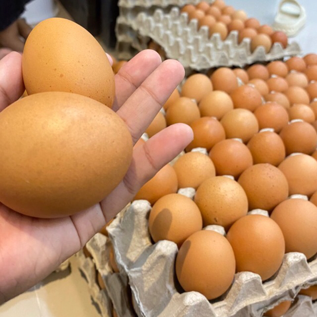 INSTAN SLEMAN YOGYAKARTA Telur Ayam Negeri 1KG