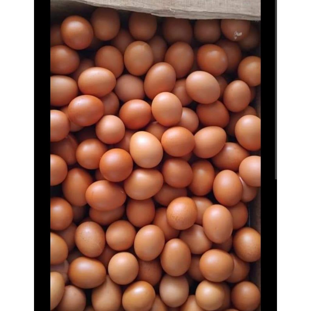 Telur Ayam Segar 1kg (BATU MOJOREJO) Khusus Instan