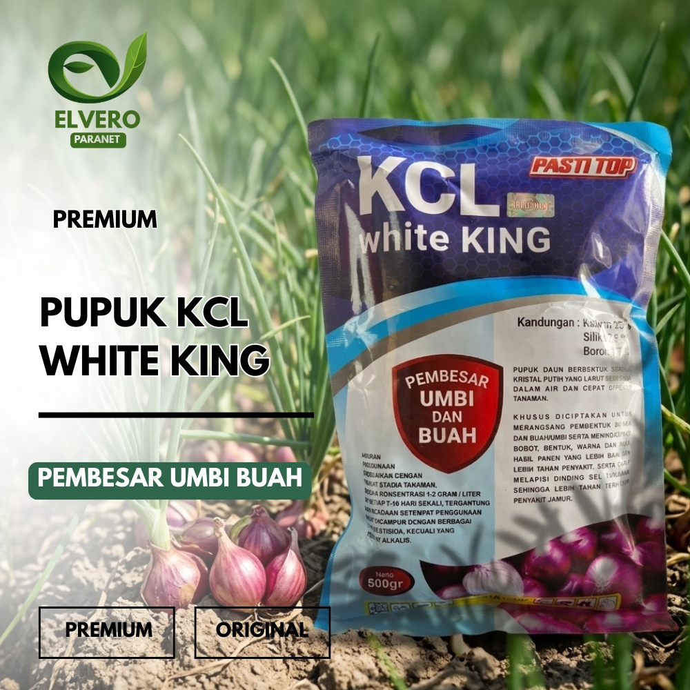 KCL White King - Pupuk Tanaman Pembesar Umbi Dan Buah