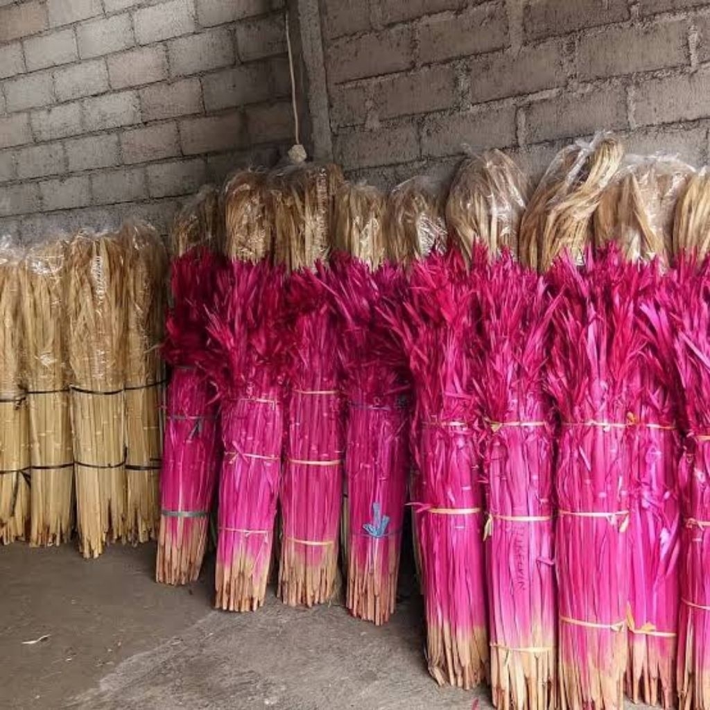 Busung Ibung / janur / busung ibung merah