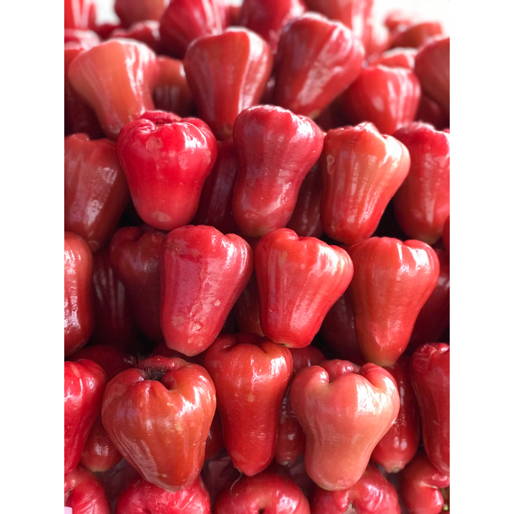 Jambu merah citra segar manis / buah jambu matoa