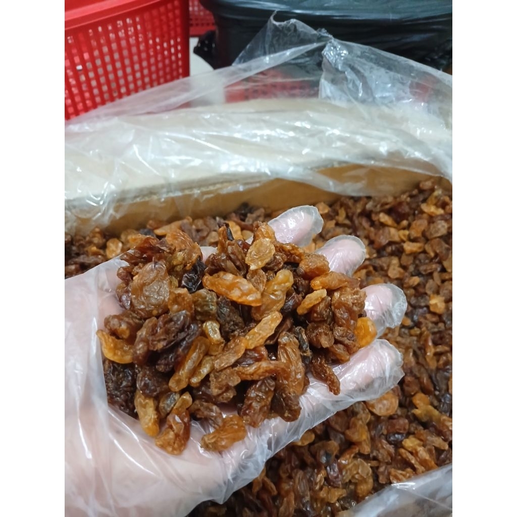 Kismis Golden Raisin 1 kg Kismis Raisin Asam Manis