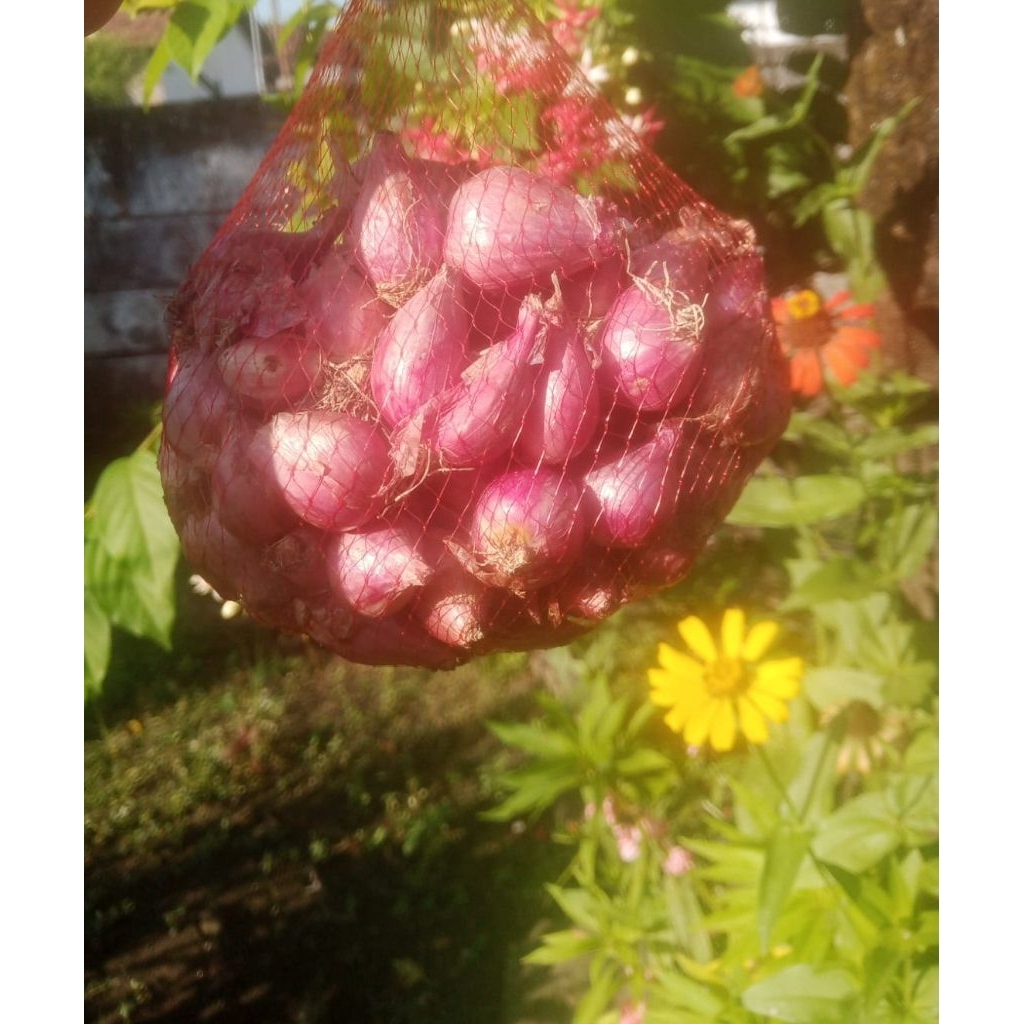 bawang merah lokal 1 kg
