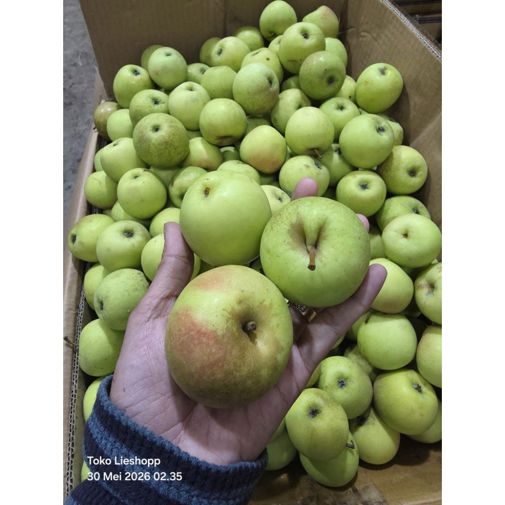 Apel Hijau Malang Segar Manis Asam 1kg