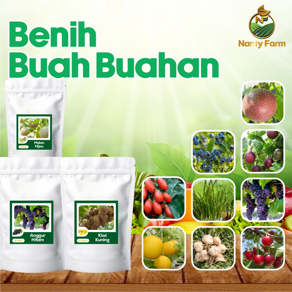 Benih Biji Buah Buahan Unggul Buah Stoberi Strawberry Anggur Melon Semangka Kiwi Bengkuang Blackberr