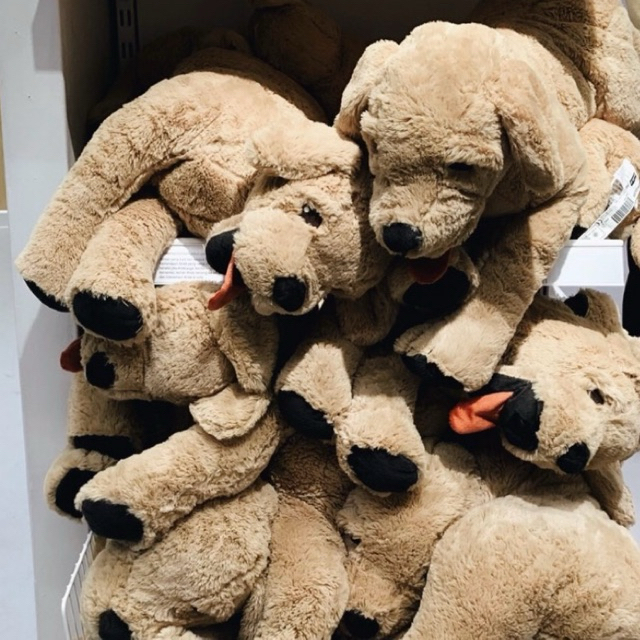 Preloved-Boneka Anjing Ikea 70cm