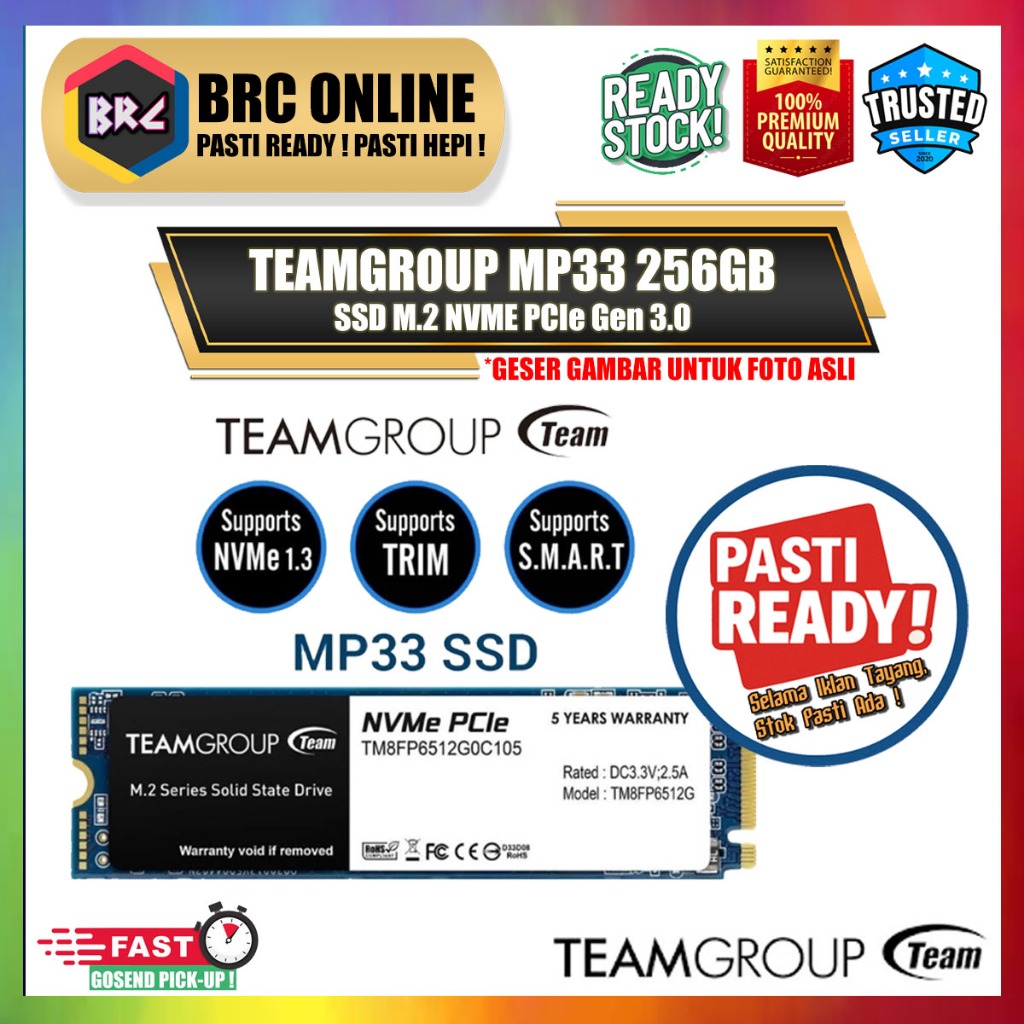 SSD TEAMGROUP 256GB M.2 NVMe MP-33 Team MP33 2280 PCIe Gen 3.0 [GARANSI RESMI]