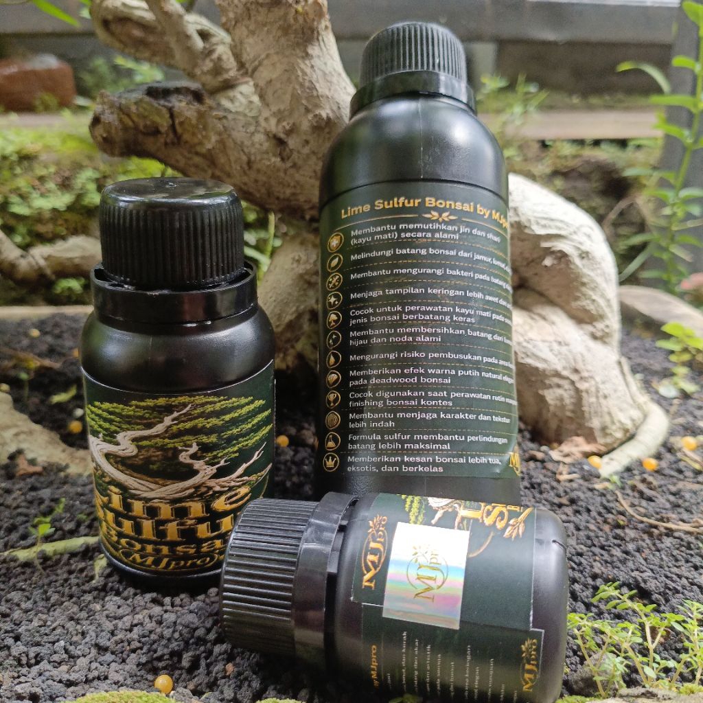 Lime jin Lime Sulfur Bonsai MJpro varian